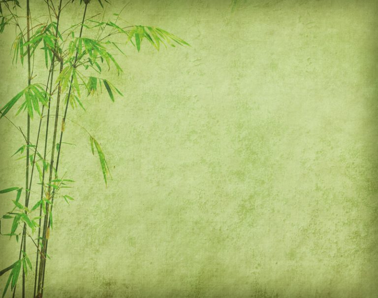 Hoe snel groeit bamboe | snelheid groei bamboe