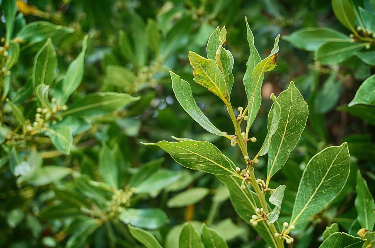 blog-image