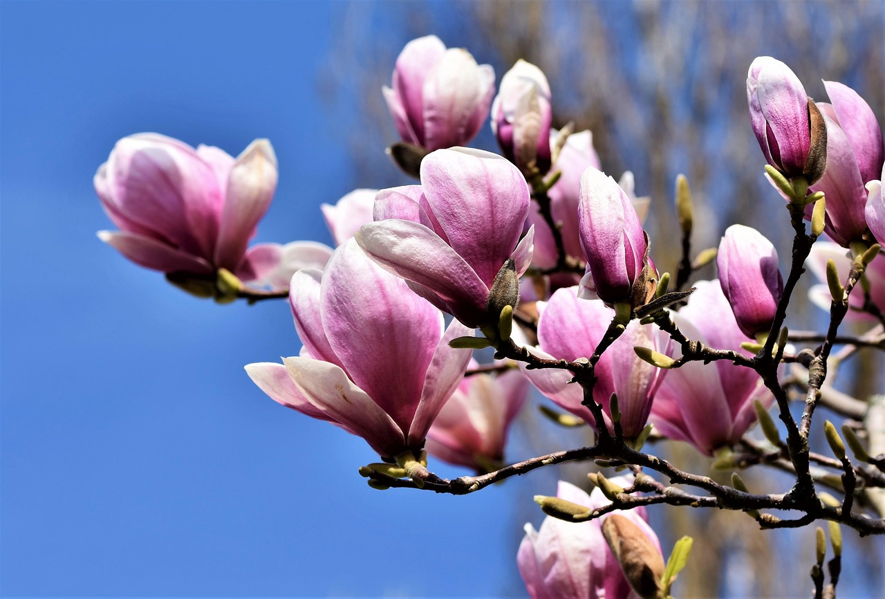 blog-image